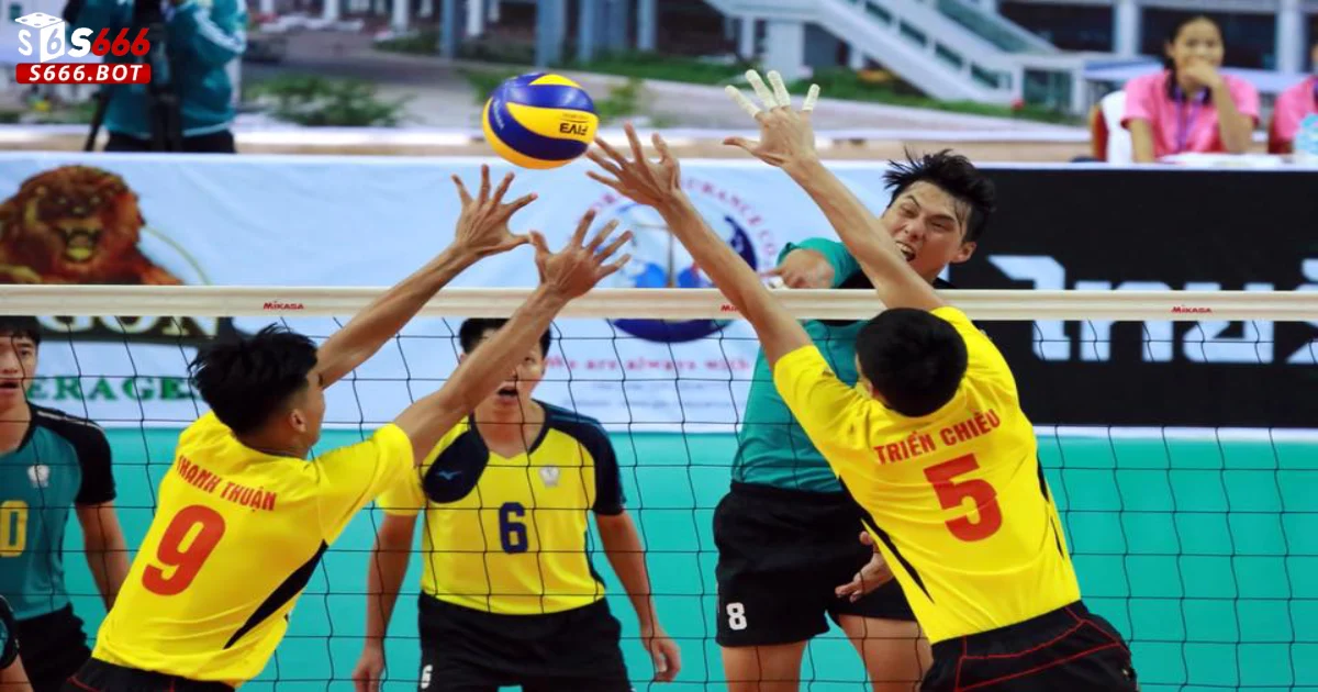Cá Cược Bóng Chuyền S666: Hướng Dẫn Chơi & Mẹo Cá Cược 3 Mẹo Cá Cược Bóng Chuyền Tại S666