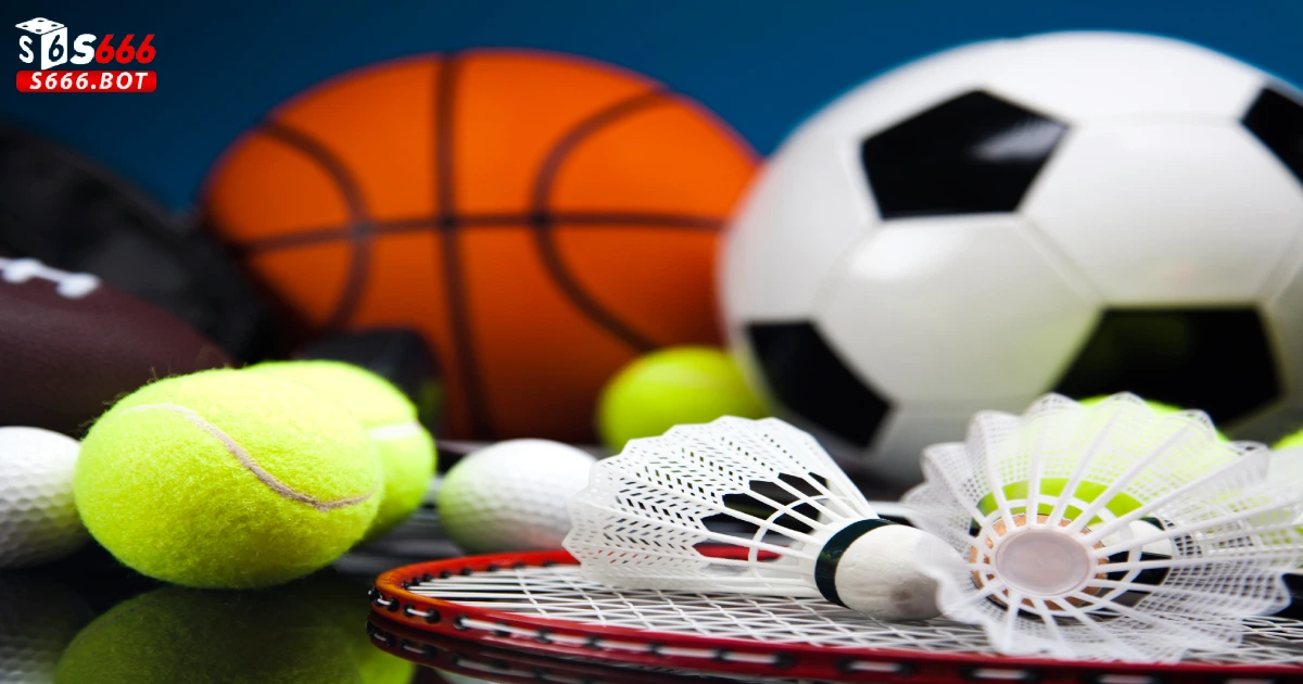 S Sports S666: Tỷ Lệ Cược Cao và Các Môn Thể Thao Phổ Biến 2 Đối Tượng Khách Hàng Của S666