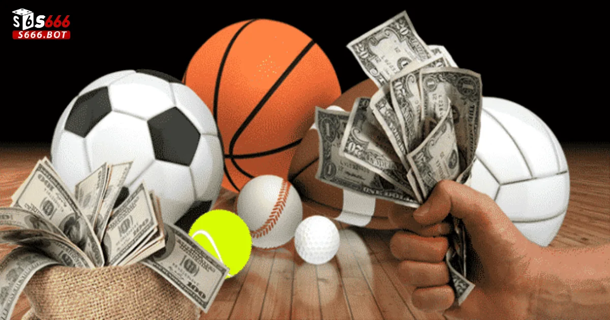 Khám Phá T-Sports S666 Với Những Trận Đấu Thể Thao Kỳ Thú 1 Giới Thiệu T-Sports S666